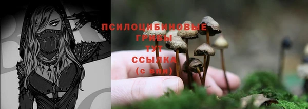кокаин колумбия Белокуриха