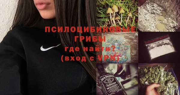 дурь Белоозёрский